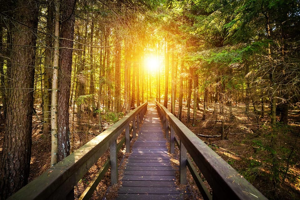 Les pas d’un homme de bien